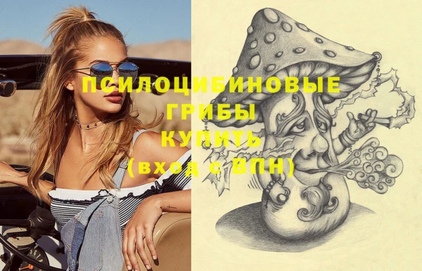 PSILOCYBIN Калач