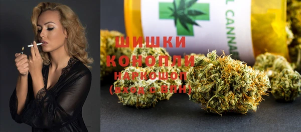 молекула духа Кадников